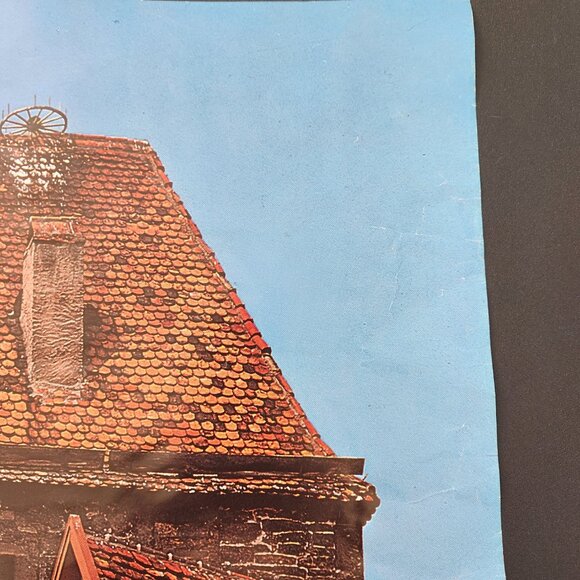 Rare Vintage Braniff Travel Poster for Federal Republic of Germany - Picture 5 of 10